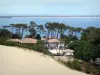 La dune du Pilat - Dune du Pilat: Maisons au pied de la dune, entourées de pins, avec vue sur la station du Cap-Ferret et le bassin d'Arcachon