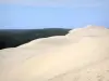 La dune du Pilat - Dune du Pilat: Vue sur la dune et la forêt