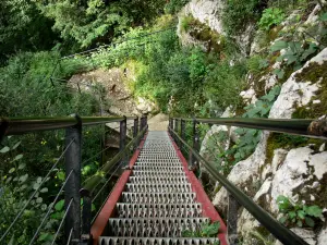 Échelles de la Mort (scale della morte) - Ferro scala, rock, arbusti e sentiero escursionistico, nelle gole del Doubs