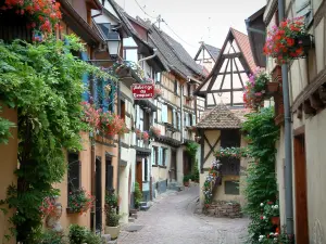 Eguisheim - Strada asfaltata con case a graticcio adornate con fiori, piante e gerani