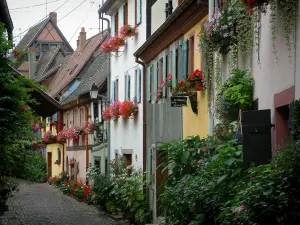 Eguisheim - Colourful houses with plants, flowers and geraniums