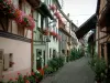 Eguisheim - Narrow paved street lined with colourful houses, flowers, plants and geraniums