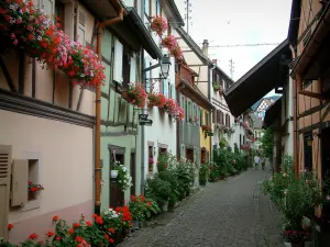 Eguisheim - Strada lastricata fiancheggiata da case colorate con fiori, piante e gerani