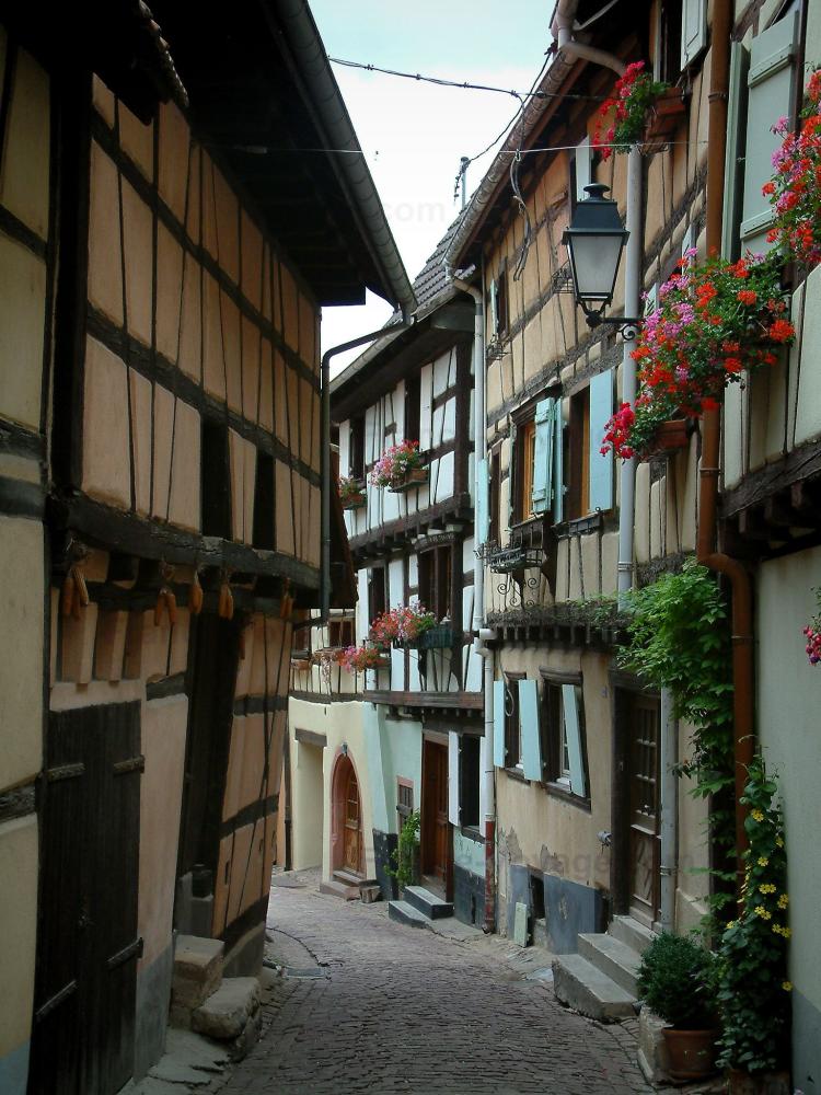 eguisheim-3237_w1000.jpg