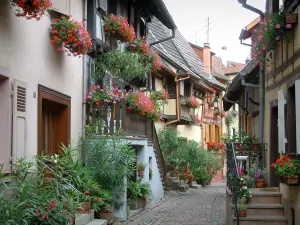 Eguisheim - Houses decorated with flowers, plants and geraniums