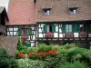 Eguisheim - Half-timbered house, geranium flowers and plants