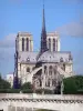 Eiland île de la Cité - Uitzicht op de apsis van de kathedraal Notre-Dame, de Tournelle brug op de voorgrond