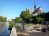 Eiland île de la Cité - Jean XXIII plein met bomen, langs de rivier de Seine, en nachtkastjes van de Notre Dame