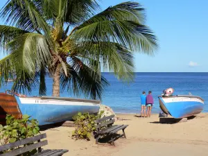 Ensenada Dufour - Playa de arena blanca, barcos de pesca, bancos y palmeras, con vistas al Mar Caribe