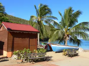 Ensenada Dufour - Hut y barcos de pesca, bancos, palmeras y mar turquesa