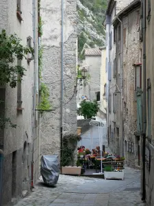Entrevaux - Ruelle du village médiéval, façades de maisons et terrasse de café