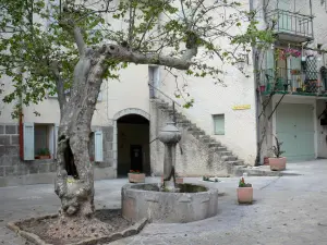 Entrevaux - Place du village médiéval avec platane (arbre), fontaine et maisons