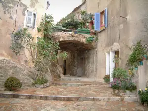 Erbalunga - Street (stairway) with houses decorated with plants, fig trees and flowers