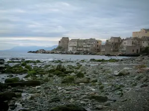 Erbalunga - Rocks, pebble beach, sea and houses of the village (marine)