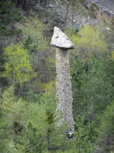 Erdpyramiden Demoiselles Coiffées de Théus - Salle de bal: Feenkamin (Säule) und Bäume