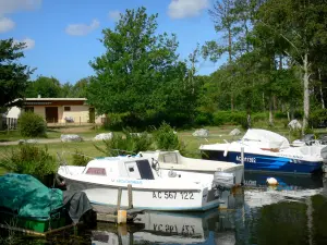 Estanque  de Cazaux y Sanguinet - Barcos amarrados en Sanguinet