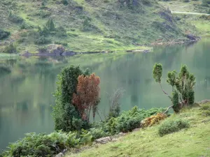 Estanque de Lers - Los arbustos en primer plano con vistas al estanque en el Parque Natural Regional de los Pirineos de Ariège, en Couserans, la ciudad de Puerto