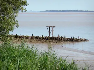 Estuario della Gironda - Domina l'estuario della Gironda