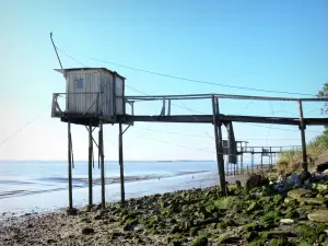 Estuario della Gironda - Rifugi passera pesca lungo l'estuario