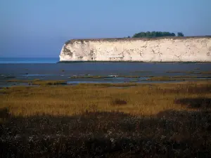 Estuarium van de Gironde - Moerassen, kalksteen rots en de Gironde-estuarium in de achtergrond