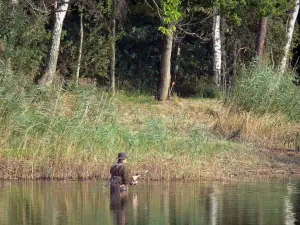 Étang de la Vallée - Étang, pêcheur dans l'eau (pratique de la pêche), roseaux, rive et arbres