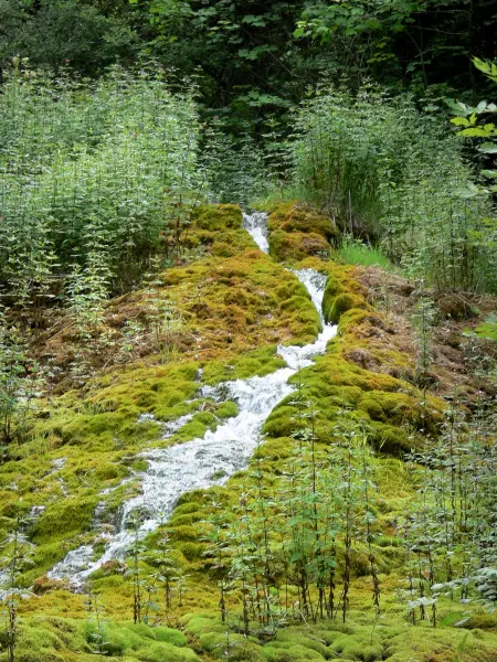 Étufs waterfall - Petrifying waterfall; in the town of Rouvres-sur-Aube