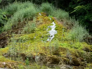 Étufs waterfall - Petrifying waterfall; in the town of Rouvres-sur-Aube