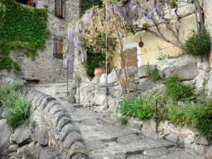 Eus - Callejón pavimentado con pendiente y casas de la aldea, incluyendo una decorada con un dosel adornado de la glicina