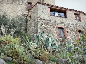 Eus - Cactus en el frente de una casa de piedra
