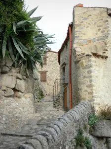 Eus - Paved street and stone houses of the village