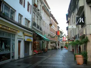 Évian-les-Bains - Nationale street with its houses and its shops