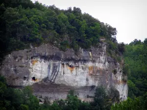 Les Eyzies-de-Tayac-Sireuil - Cliff y los árboles, en el Périgord