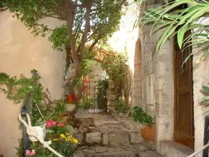 Èze - In het oude dorp, entree stenen huis met haar planten en bloemen