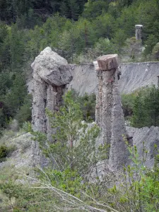 Fairy chimneys of Théus - Ballroom: fairy chimneys (columns) and trees