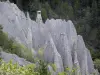 Fairy chimneys of Théus - Ballroom: fairy chimneys and trees