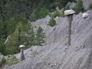 Fairy chimneys of Théus - Ballroom: fairy chimneys (columns) and trees