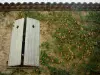 Fayence - Fassade bedeckt mit einer Kletterpflanze und Fensterläden eines Hauses