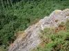 Fels Oëtre - Normannische Schweiz: Blick auf den Abgrund vom Fels Oëtre aus (natürlicher Aussichtspunkt), auf der Gemeinde Saint-Philibert-sur-Orne