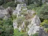 Felsansammlung von Montpellier-le-Vieux - Ruinenartige Dolomitsteine umgeben von Grün