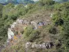 Felsen Ham - Felswände und Bäume, im Tal Vire