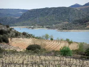 Fenouillèdes - Lake of the Agly dam (Caramany dam), vineyards and hills