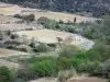 Fenouillèdes - Champs de vignes entourés d'arbres