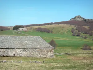 Ferme de Bourlatier - Grange en pierre au toit de lauzes de la ferme mémoire de Bourlatier et son paysage environnant