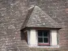 La Ferrière-sur-Risle - Attic window of a house