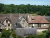 La Ferrière-sur-Risle - Roofs and facades of half-timbered houses in the village