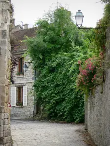 La Ferté-Milon - Strasse mit Pflastersteinen und Hausfassade der Altstadt