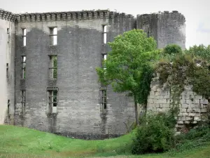 La Ferté-Milon - Gevel van het kasteel van de hertog van Orleans (Louis d'Orleans Kasteel)