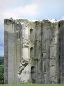 La Ferté-Milon - Gevel van het kasteel van de hertog van Orleans (Louis d'Orleans Kasteel)