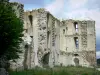 La Ferté-Milon - Vestiges du château du duc d'Orléans