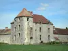 Fief des Epoisses stronghold - Old medieval fortified farm and lawn ;in the town of Bombon